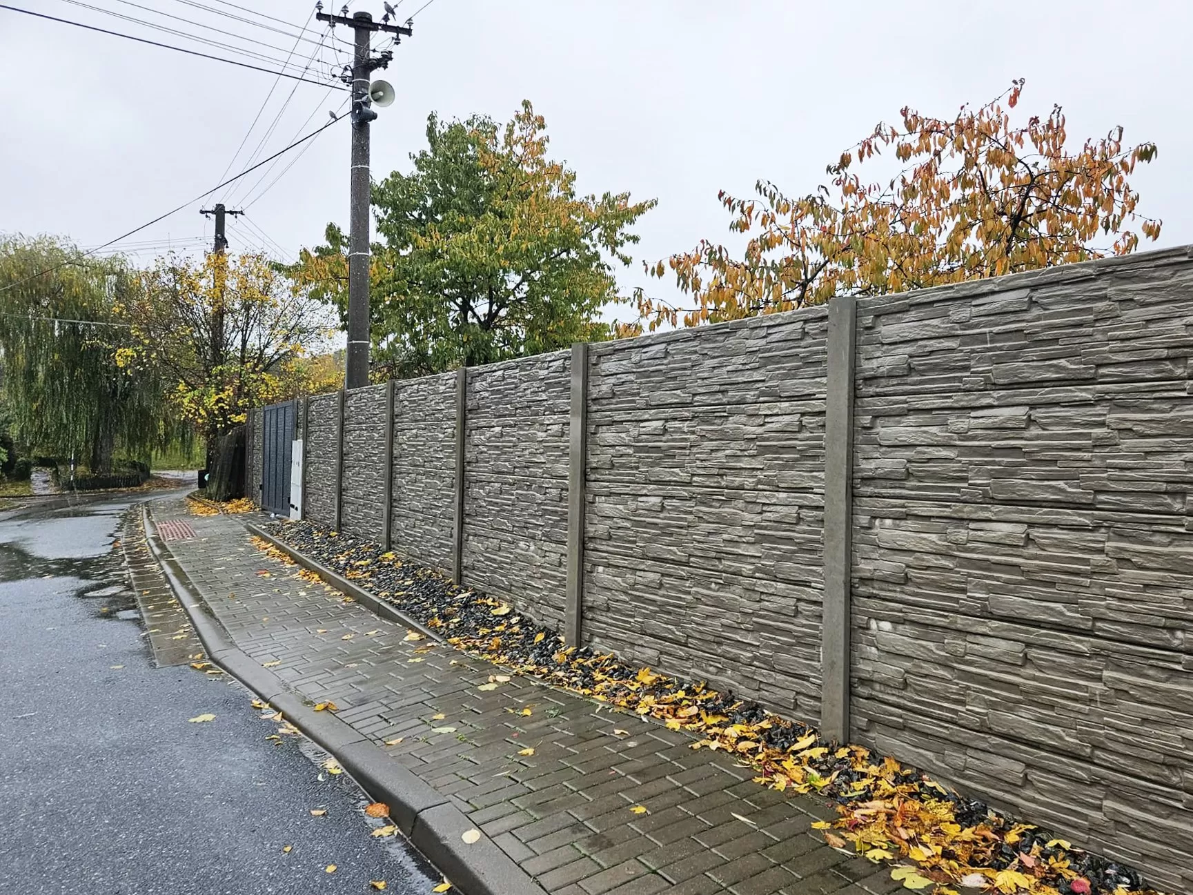Betonzaun herbstlich vorbereiten: So geht's und warum es sich lohnt